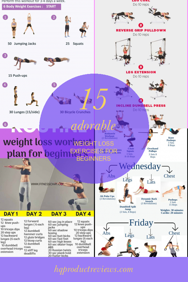 15 Adorable Weight Loss Exercises for Beginners Best Product Reviews
